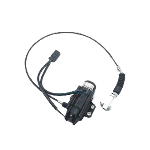 ����ִ����Ӧ��